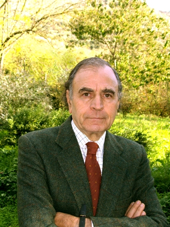 Prof. Matteo Giannantasio